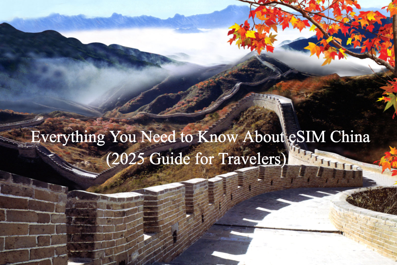 中国向けeSIM完全ガイド（2025年版・旅行者向け） – MicroEsim