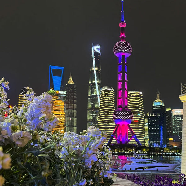 China eSIM - UK Phone Number + Data + SMS