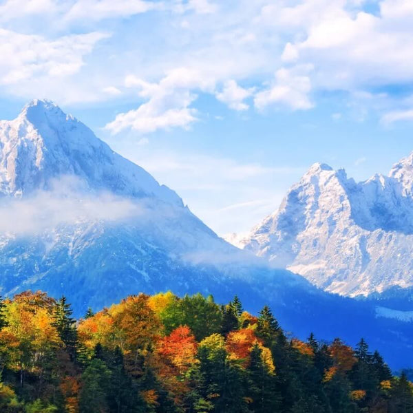 MicroEsim Global ESIM Unlimited Data Plans For Travel And Business microesim-global-esim-unlimited-data-plans-for-travel-and-business