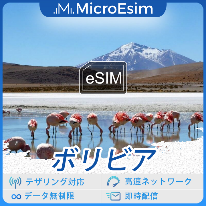 ボリビア 海外旅行用 eSIM