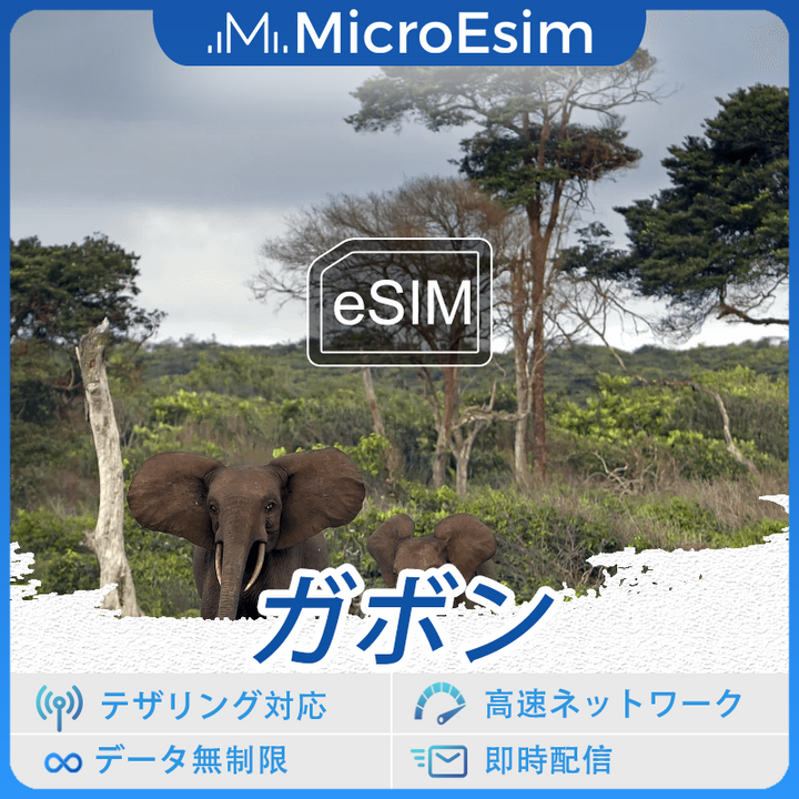 ガボンの海外旅行用 eSIM