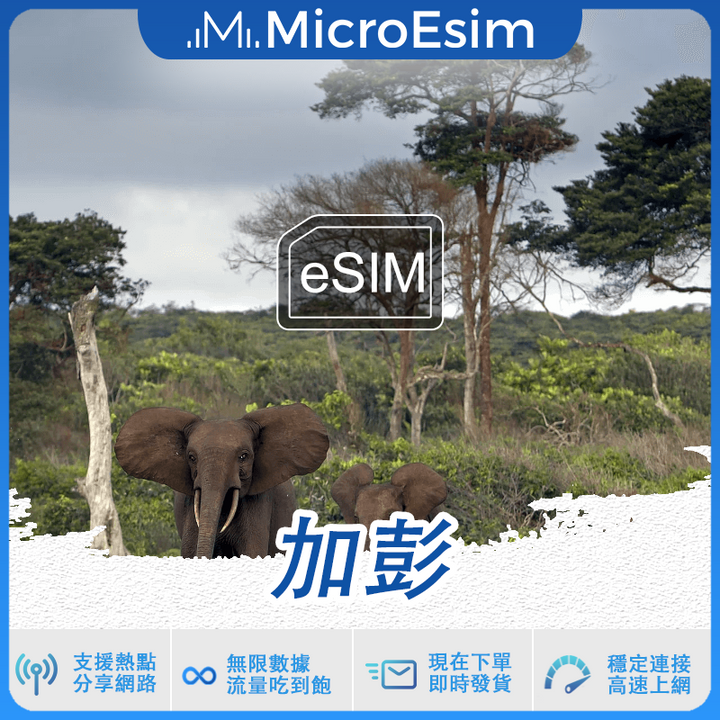 加彭 出國旅游上網 eSIM