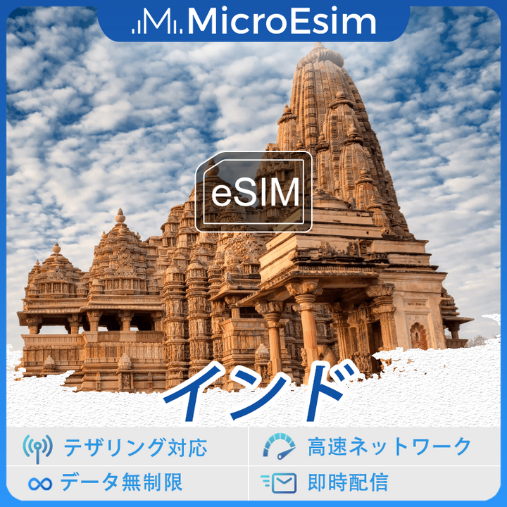 インド 海外旅行用 eSIM