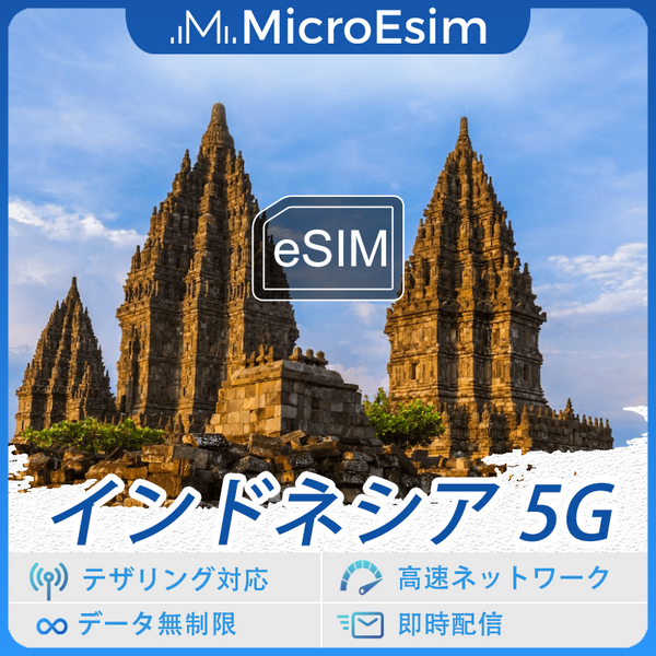 インドネシア 海外旅行用 eSIM 5G