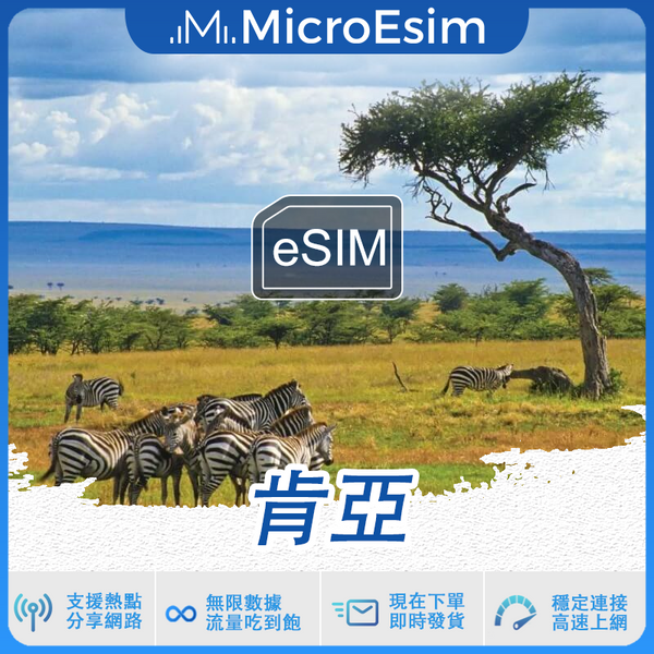 肯亞 出國旅游上網 eSIM