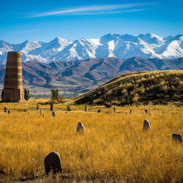 Enjoy unlimited data plans for your Kyrgyzstan trip