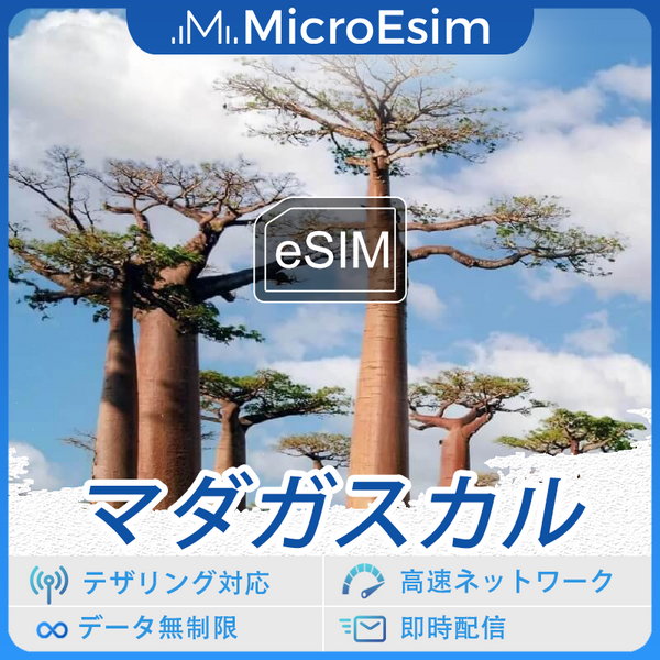 マダガスカル 海外旅行用 eSIM