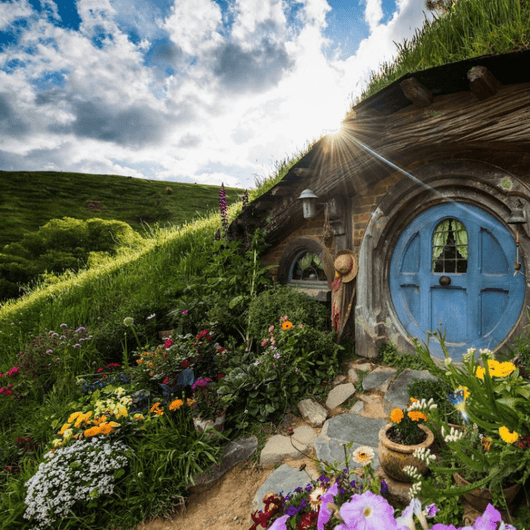 Travel eSIM data plan for New Zealand - MicroEsim