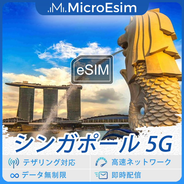 シンガポール 海外旅行用 eSIM 5G