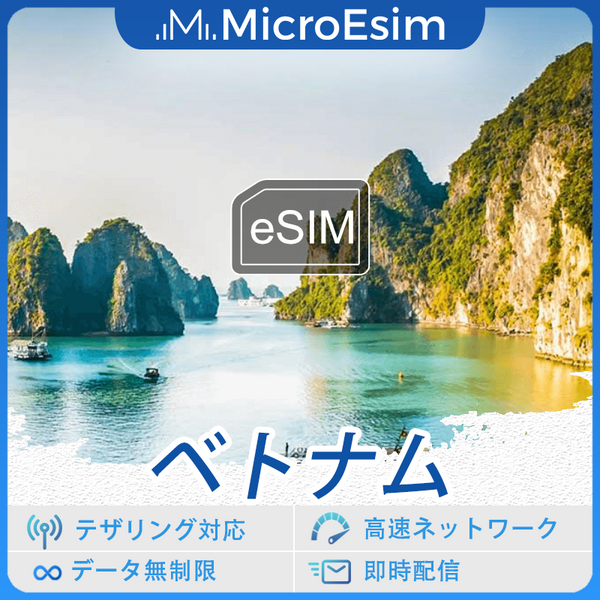 ベトナム 海外旅行用 eSIM