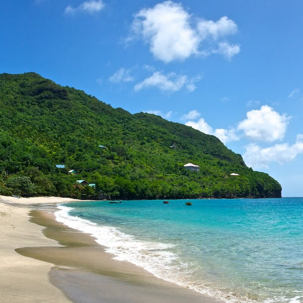 Travel eSIM data plan for Saint Vincent and Grenadines - MicroEsim