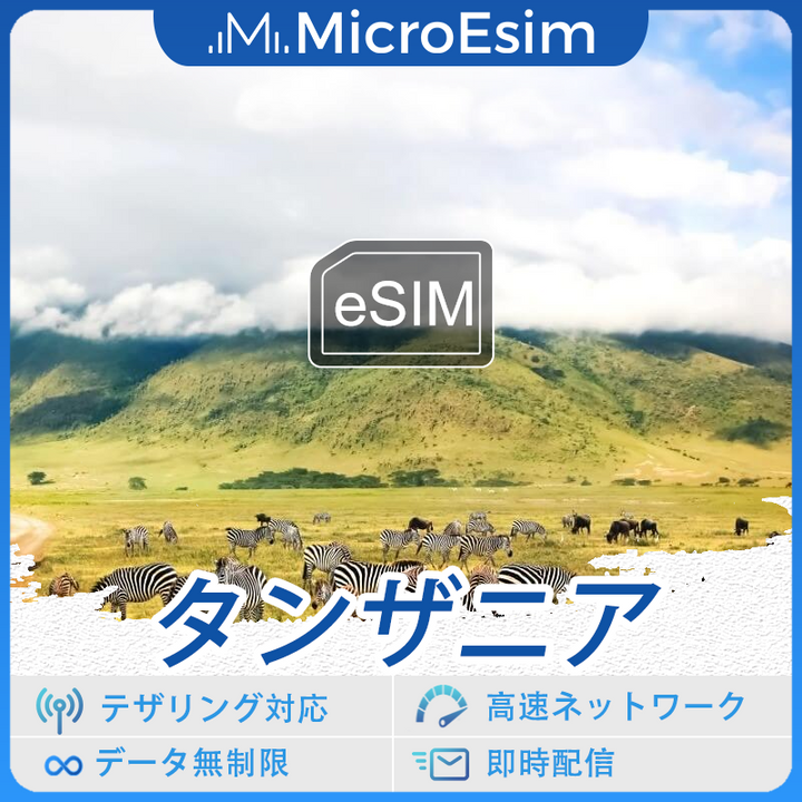 タンザニア 海外旅行用 eSIM