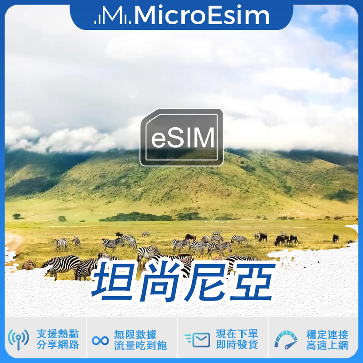 坦尚尼亞 出國旅游上網 eSIM