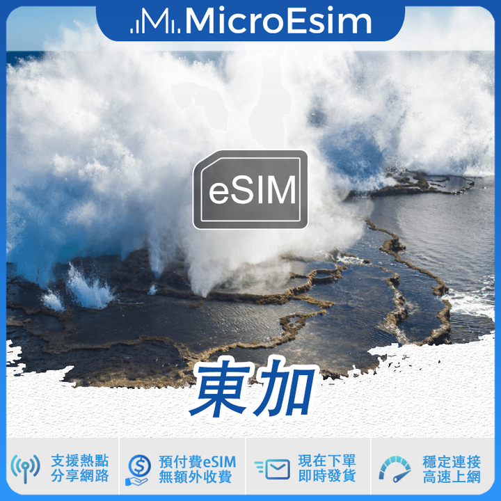 東加 出國旅游上網 eSIM