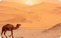 Africa eSIM 17 Countries