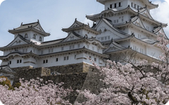 アジア eSIM 10地域 - TikTokサポート