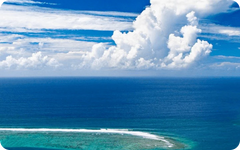 大洋洲 eSIM 4個國家